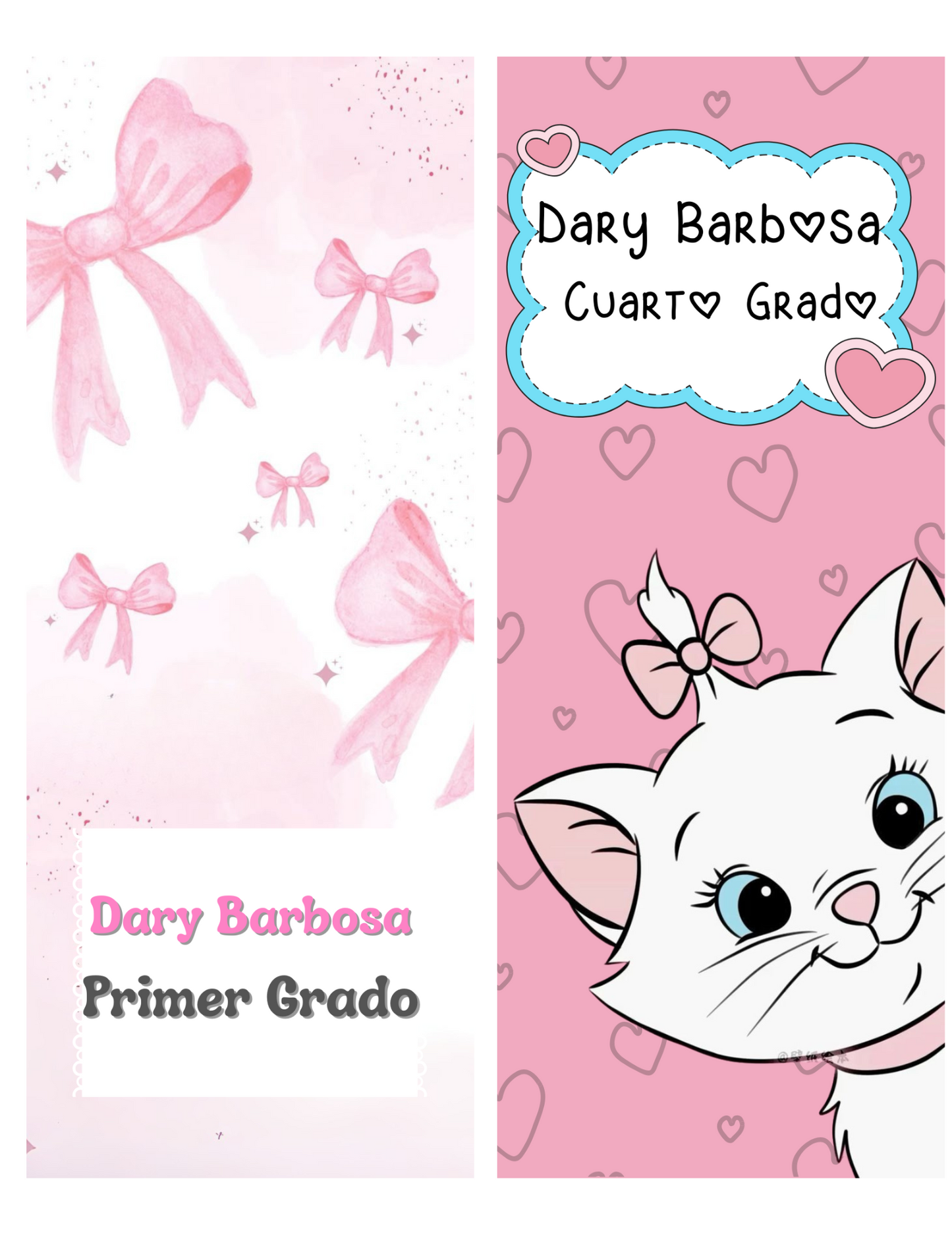Franja para libretas (INDIVIDUALES)