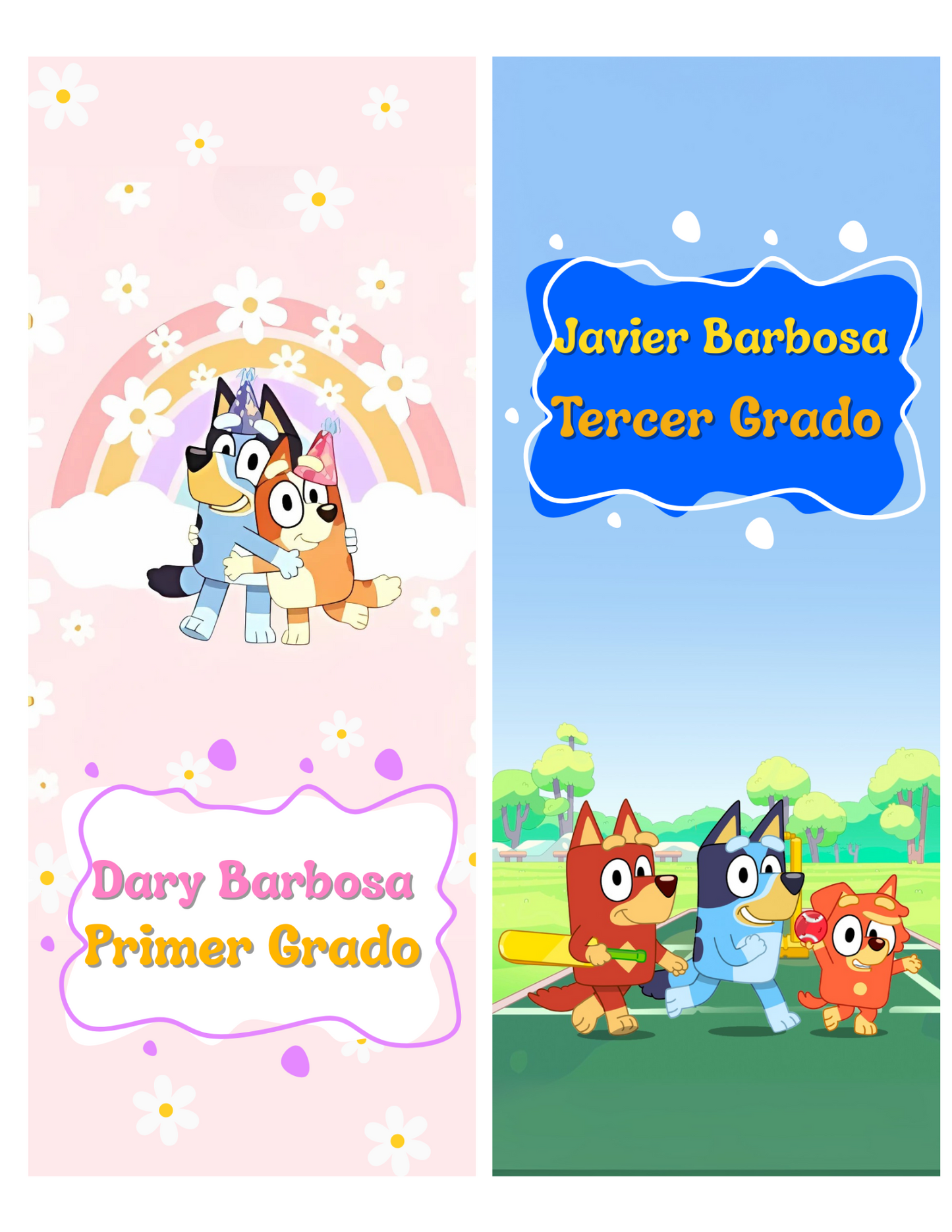 Franja para libretas (INDIVIDUALES)